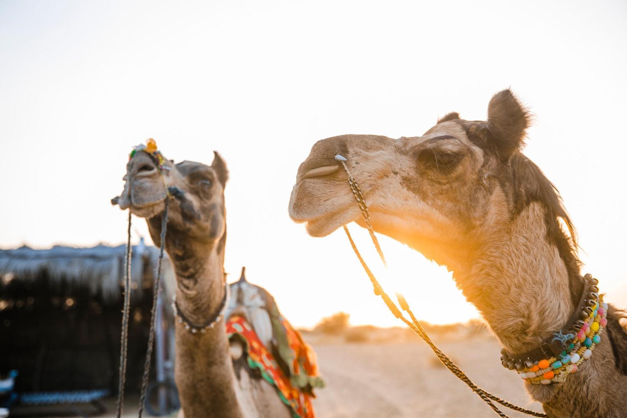 فندق جيلسامرفي  كاسا دي كاكو المظهر الخارجي الصورة