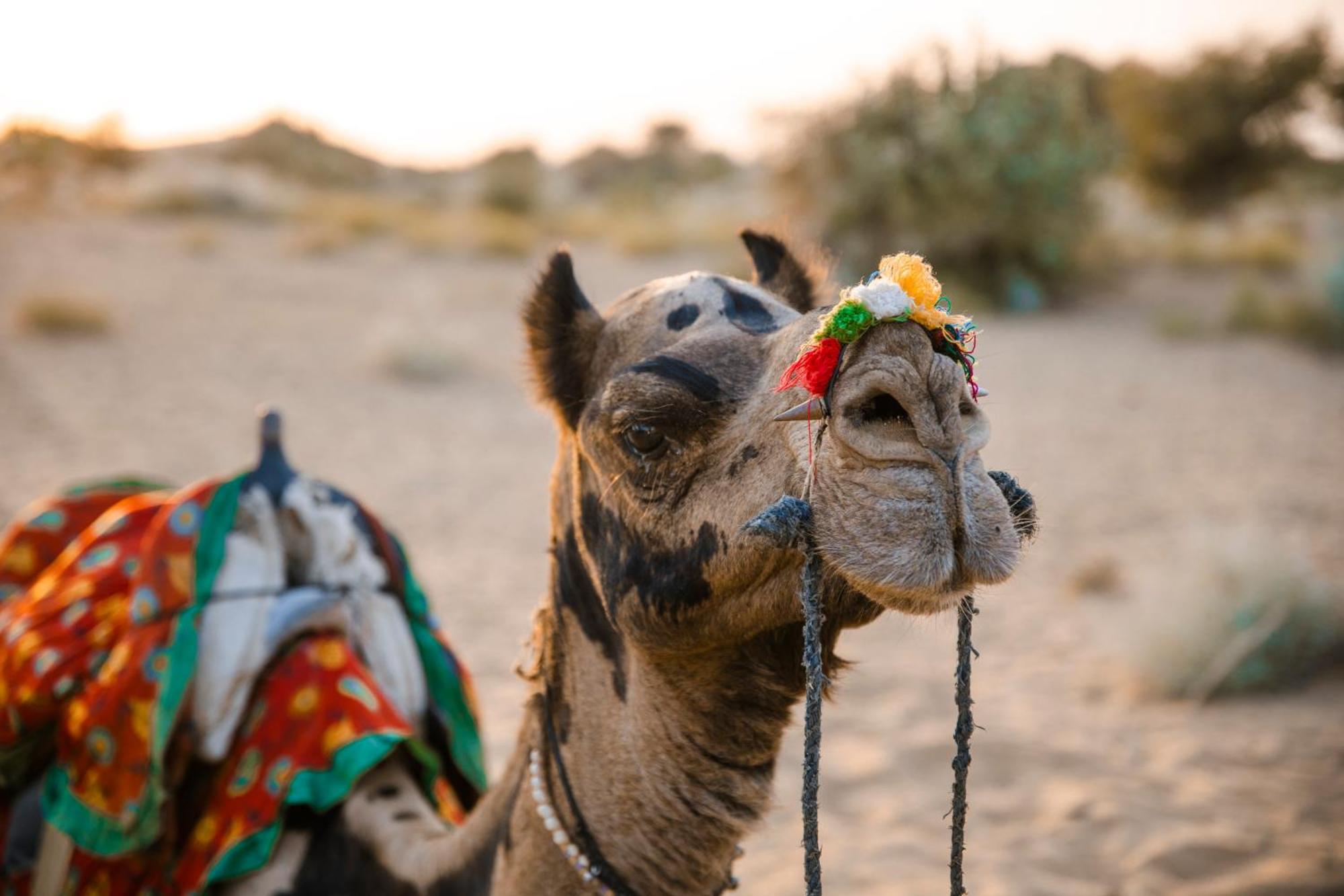 فندق جيلسامرفي  كاسا دي كاكو المظهر الخارجي الصورة